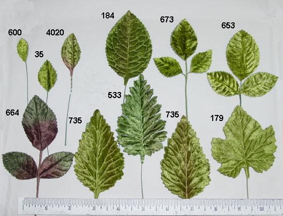 Single Velvet Leaves
